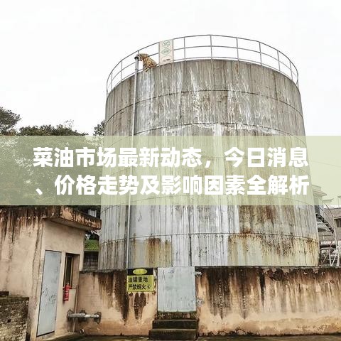 菜油市场最新动态,今日消息、价格走势及影响因素全解析