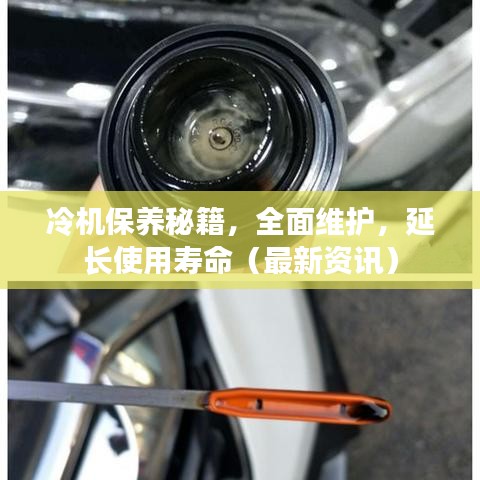 冷机保养秘籍,全面维护,延长使用寿命(最新资讯)