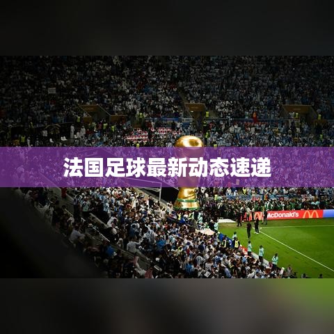 法国足球最新动态速递