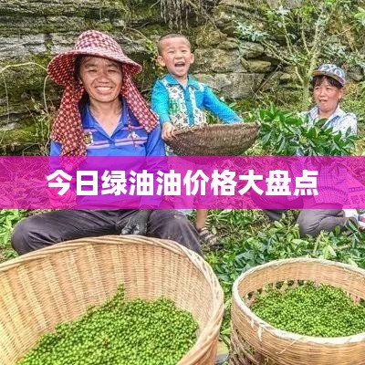 今日绿油油价格大盘点