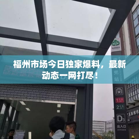 福州市场今日独家爆料,最新动态一网打尽!