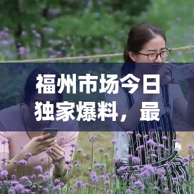 福州市场今日独家爆料,最新动态一网打尽!