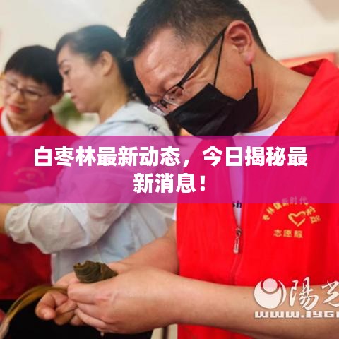 白枣林最新动态，今日揭秘最新消息！