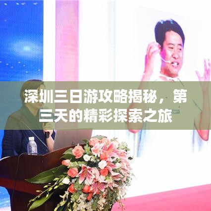深圳三日游攻略揭秘,第三天的精彩探索之旅