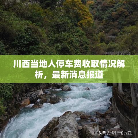 川西当地人停车费收取情况解析,最新消息报道