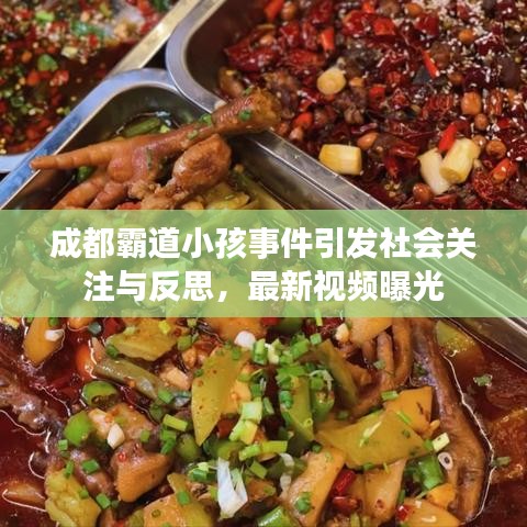 成都霸道小孩事件引发社会关注与反思,最新视频曝光