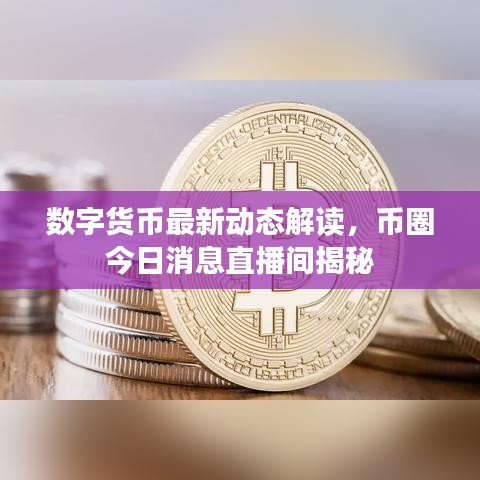 数字货币最新动态解读,币圈今日消息直播间揭秘
