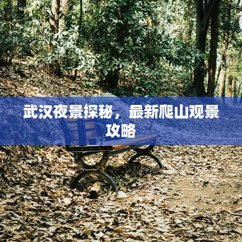 武汉夜景探秘,最新爬山观景攻略