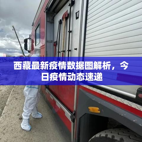 西藏最新疫情数据图解析,今日疫情动态速递
