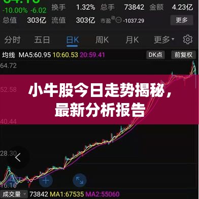 小牛股今日走势揭秘，最新分析报告