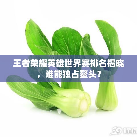 王者荣耀英雄世界赛排名揭晓,谁能独占鳌头?