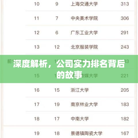 深度解析,公司实力排名背后的故事