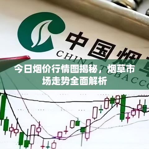 今日烟价行情图揭秘,烟草市场走势全面解析