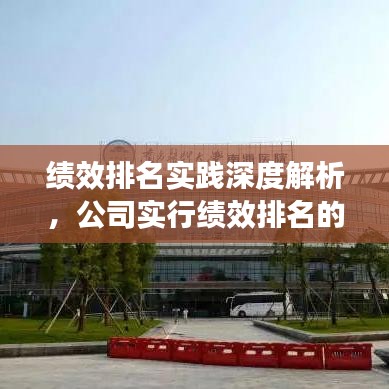 绩效排名实践深度解析,公司实行绩效排名的洞察与启示
