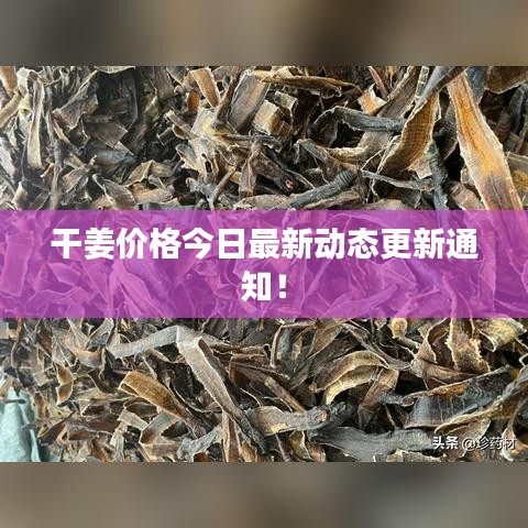 干姜价格今日最新动态更新通知!