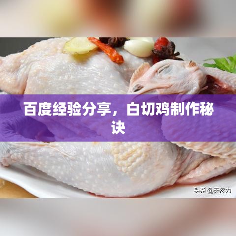 百度经验分享，白切鸡制作秘诀