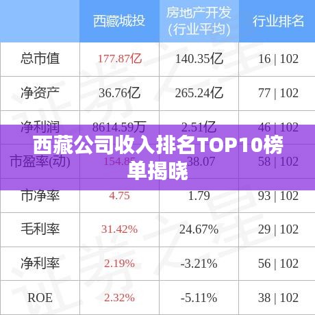 西藏公司收入排名TOP10榜单揭晓
