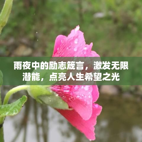 雨夜中的励志箴言,激发无限潜能,点亮人生希望之光