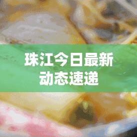 珠江今日最新动态速递