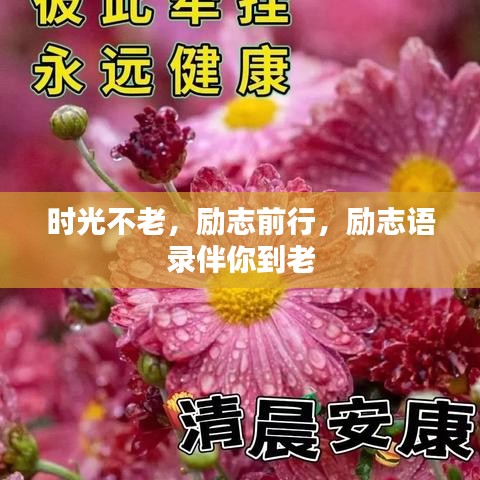 时光不老,励志前行,励志语录伴你到老