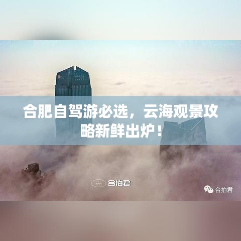 合肥自驾游必选,云海观景攻略新鲜出炉!