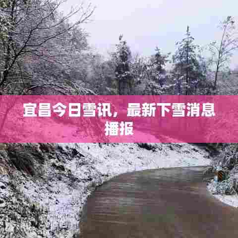 宜昌今日雪讯,最新下雪消息播报