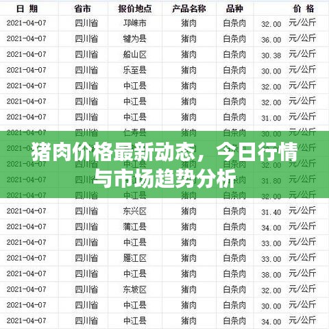 猪肉价格最新动态,今日行情与市场趋势分析