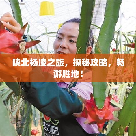 陕北杨凌之旅，探秘攻略，畅游胜地！