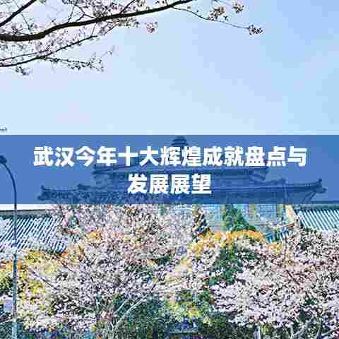 武汉今年十大辉煌成就盘点与发展展望