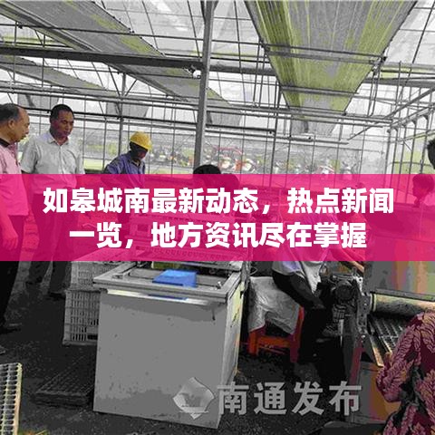 如皋城南最新动态,热点新闻一览,地方资讯尽在掌握