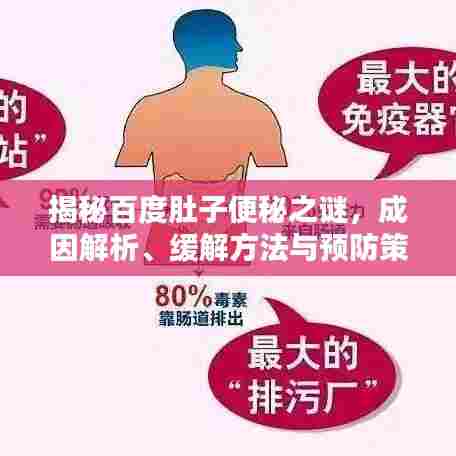 揭秘百度肚子便秘之谜,成因解析、缓解方法与预防策略全攻略!