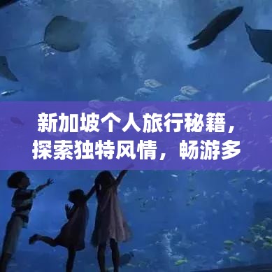 新加坡个人旅行秘籍,探索独特风情,畅游多元文化的绝佳体验!