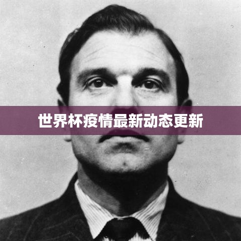 世界杯疫情最新动态更新