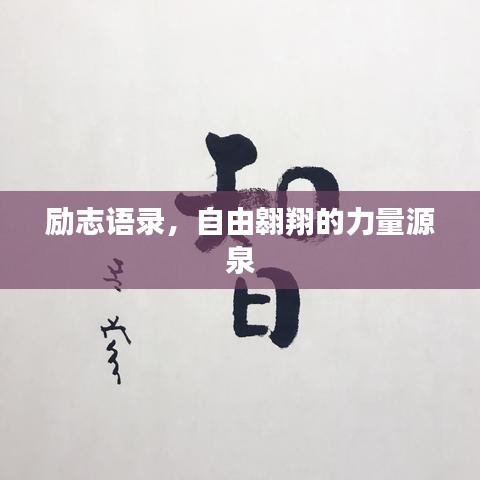 励志语录,自由翱翔的力量源泉