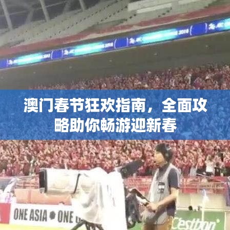 澳门春节狂欢指南，全面攻略助你畅游迎新春