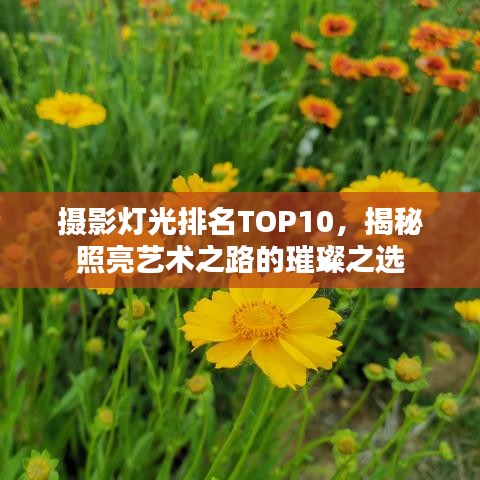 摄影灯光排名TOP10,揭秘照亮艺术之路的璀璨之选