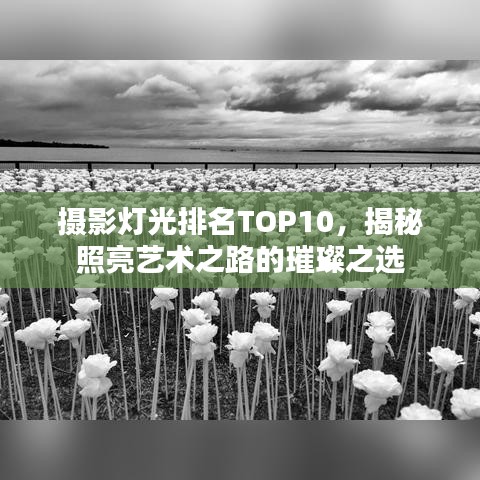 摄影灯光排名TOP10,揭秘照亮艺术之路的璀璨之选