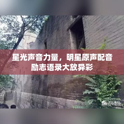 星光声音力量,明星原声配音励志语录大放异彩