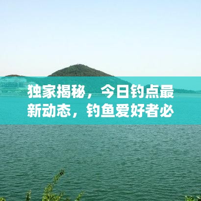 百不得一 第4页