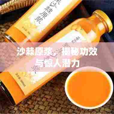 沙棘原浆,揭秘功效与惊人潜力