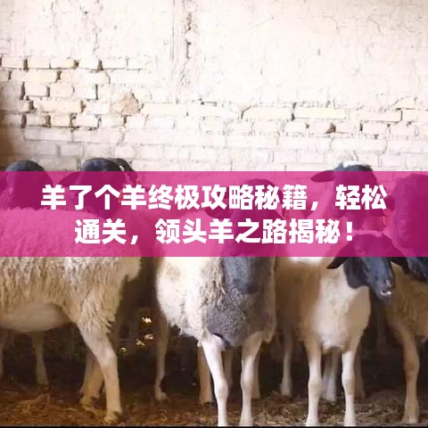 羊了个羊终极攻略秘籍,轻松通关,领头羊之路揭秘!