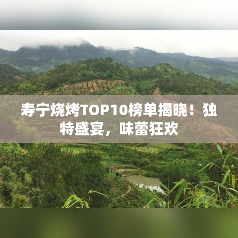 寿宁烧烤TOP10榜单揭晓!独特盛宴,味蕾狂欢