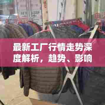 最新工厂行情走势深度解析,趋势、影响全掌握