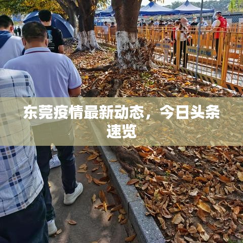 东莞疫情最新动态,今日头条速览