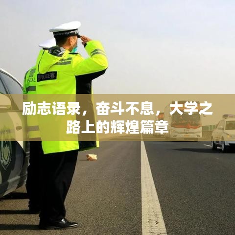 励志语录,奋斗不息,大学之路上的辉煌篇章