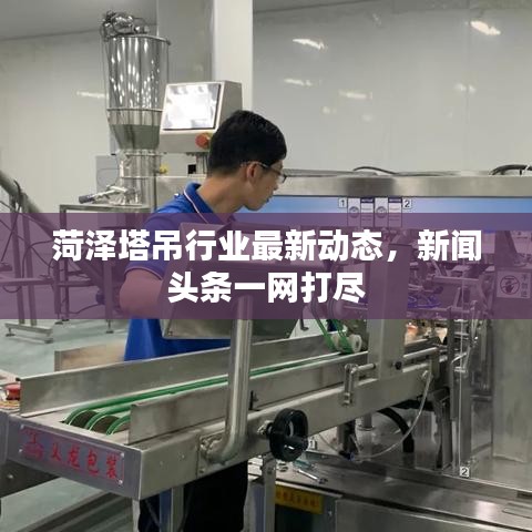 菏泽塔吊行业最新动态,新闻头条一网打尽