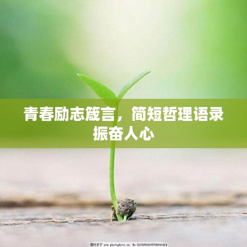 青春励志箴言,简短哲理语录振奋人心
