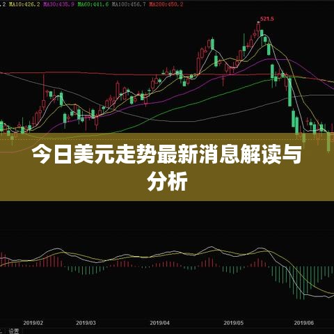 今日美元走势最新消息解读与分析