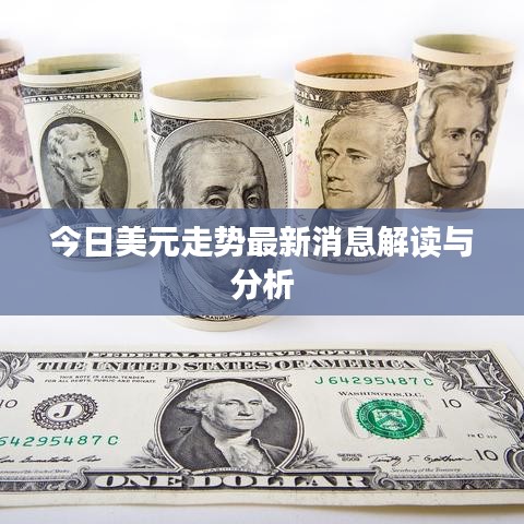 今日美元走势最新消息解读与分析