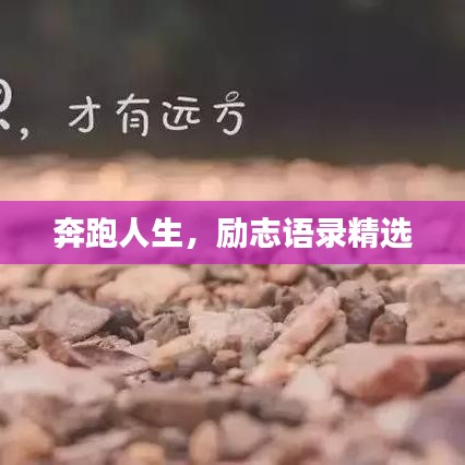 奔跑人生,励志语录精选